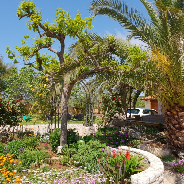 Luxury apartment Marin - summer paradise, terrace, garden, summer kitchen & bbq, near the beaches, Pomer - Istria, Holidays in Croatia Hrvatska