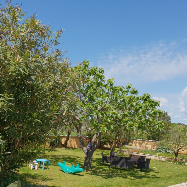 Luxury apartment Marin - summer paradise, terrace, garden, summer kitchen & bbq, near the beaches, Pomer - Istria, Holidays in Croatia Hrvatska