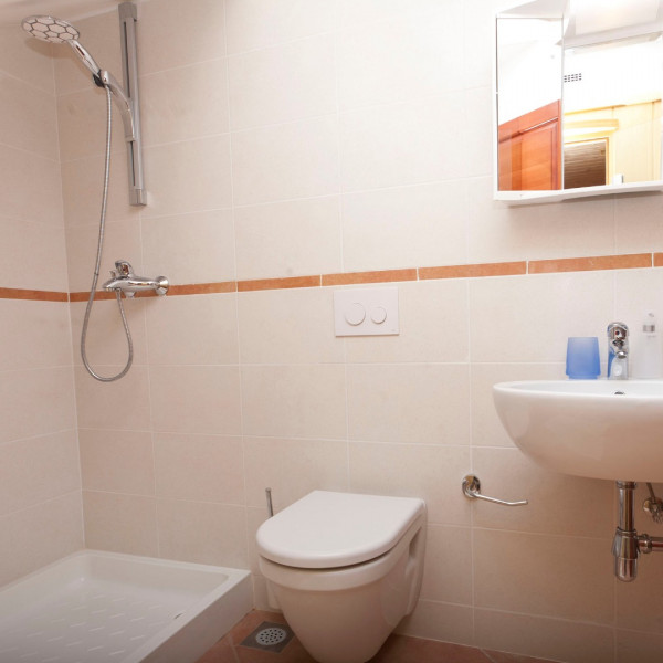 Bathroom / WC, Villa Donna - holiday house for relaxation with pool, souna, jacuzzi & biliards, Ližnjan - Istra, Holidays in Croatia Hrvatska