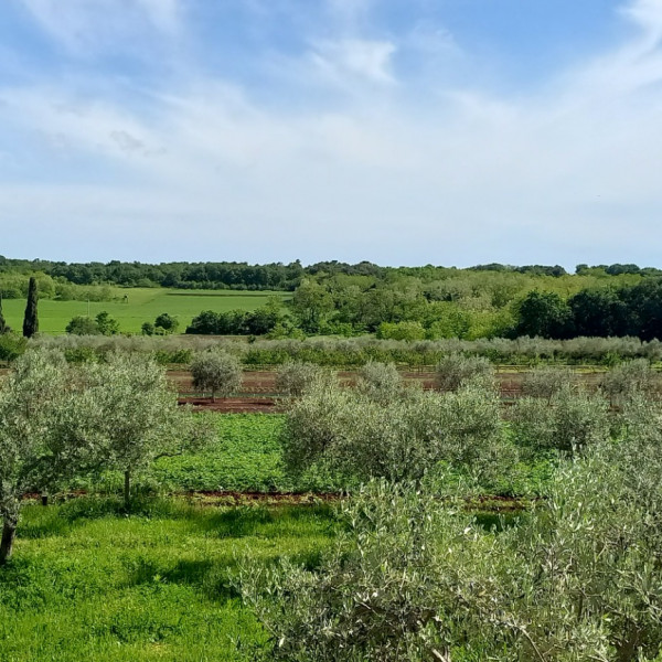 Villa Faro &ndash; New dream house, heated pool, tavern & games room, summer kitchen & bbq, near the beach, Savudrija - Istria, Vacanze in Croazia Hrvatska
