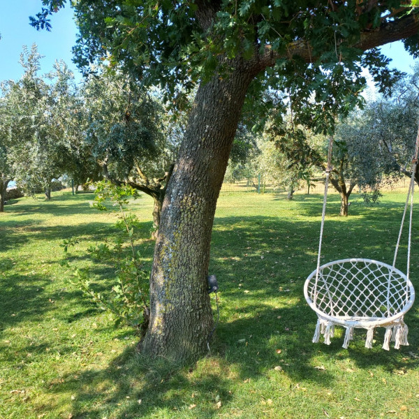 Beach House IVE &ndash; Romantic Escape with jacuzzi, pool & olive grove charm in Pomer, Istria, Holidays in Croatia Hrvatska